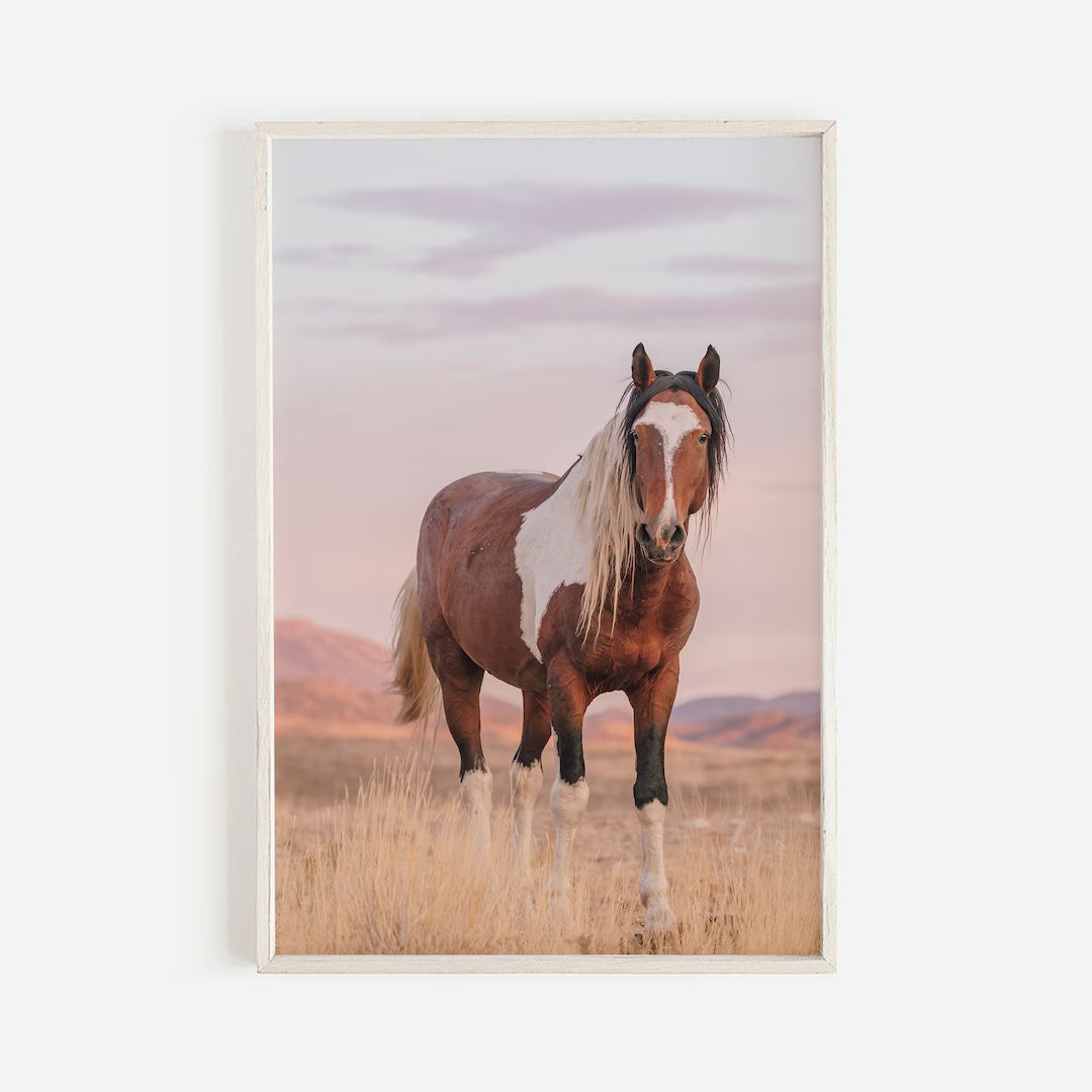 Pastel Wild Horse Print, New Mexico Wild Horse Wall Art, Pink Sky Photo, Pastel Horse Wall Art, S... | Etsy (US)