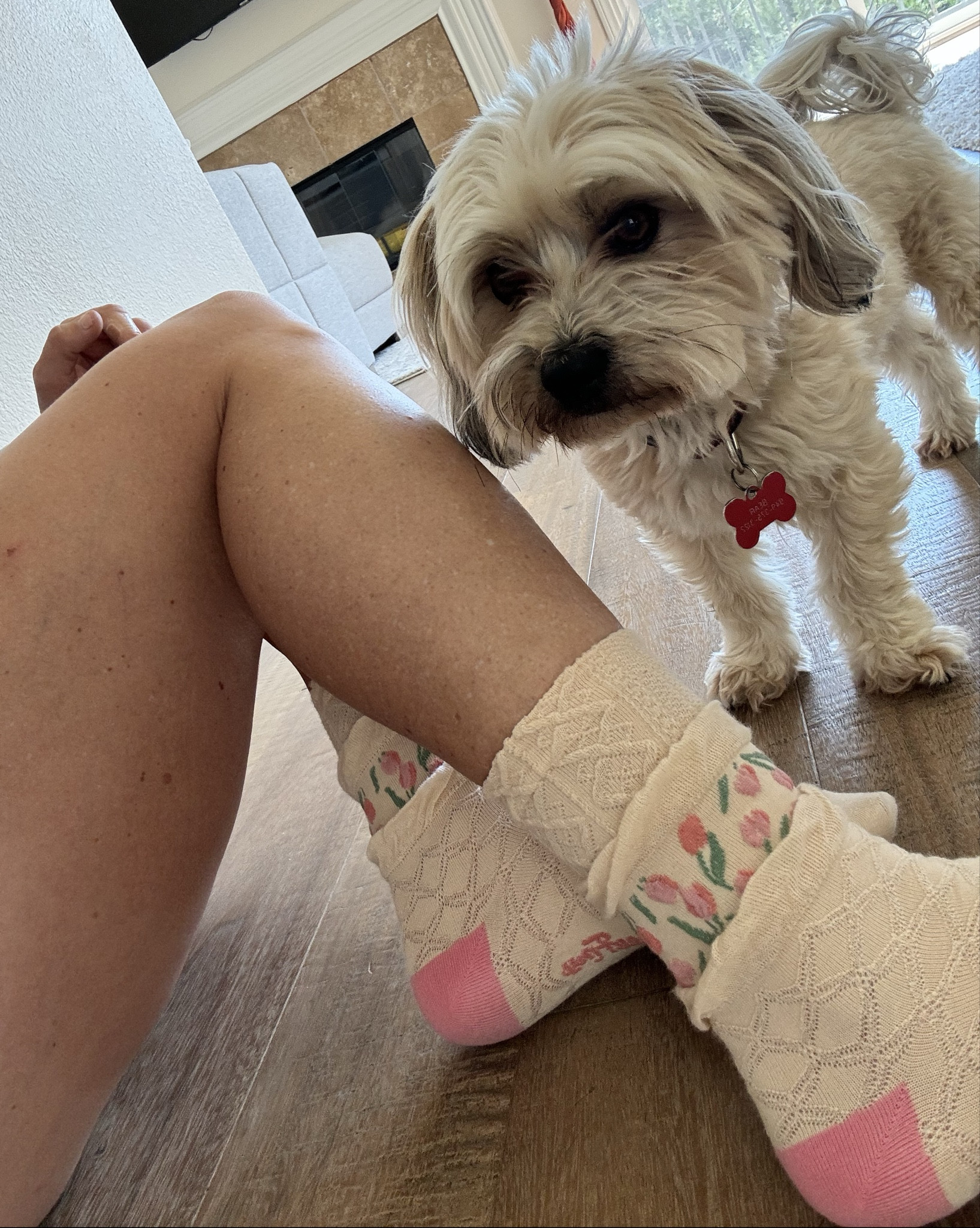 SOCKS! I’m obsessed with these socks and have already given them away as #gifts. You get a 5 pack for under $20 & they are so soft and cute! I’ve been putting them on after a long day training in the mountains and the irony makes me smile. From dirt and sweat to frilly, soft #socks I love how fun these are! 

#LTKfitness #LTKActive