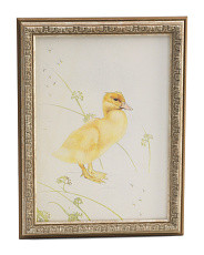 Duckling Picture | Marshalls