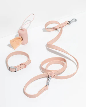 Collar Walk Kit | Dog Collar & Leash Set | Wild One | Wild One