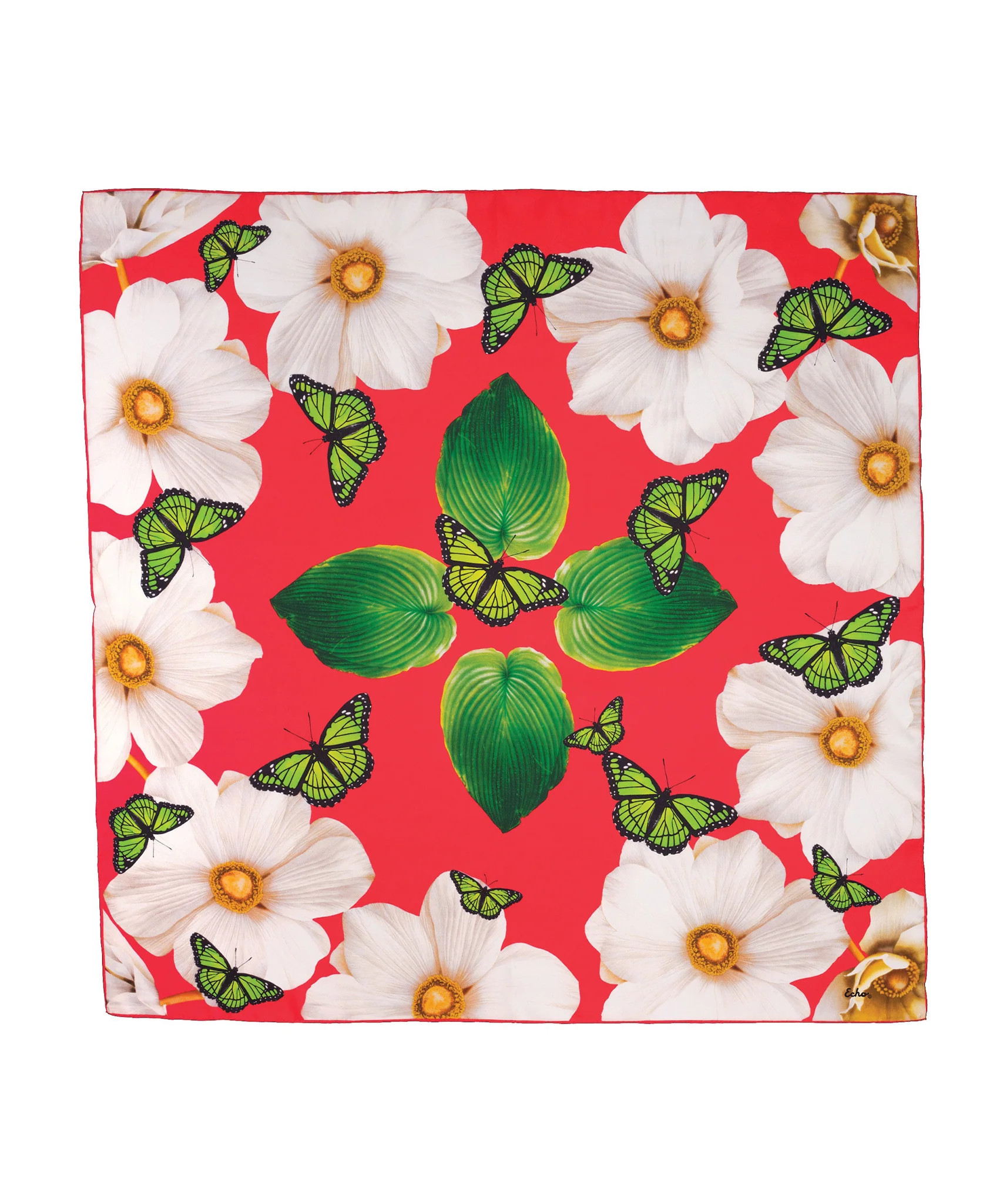 Monarchs and Anemones | Echo New York