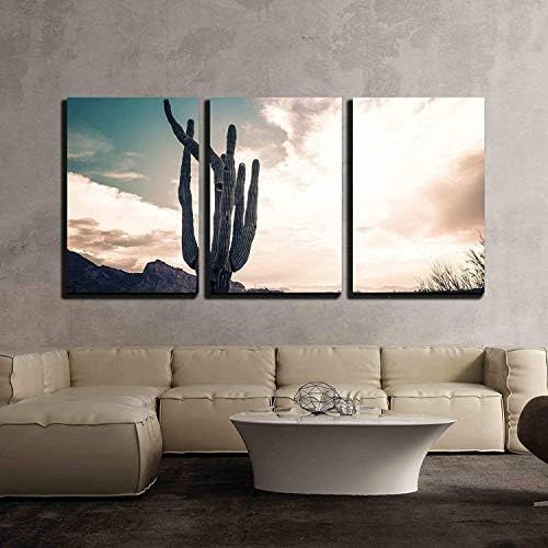 wall26 - 3 Piece Canvas Wall Art - Iconic Saguaro Cactus and Camelback MTN Phoenix, AZ - Modern H... | Amazon (US)