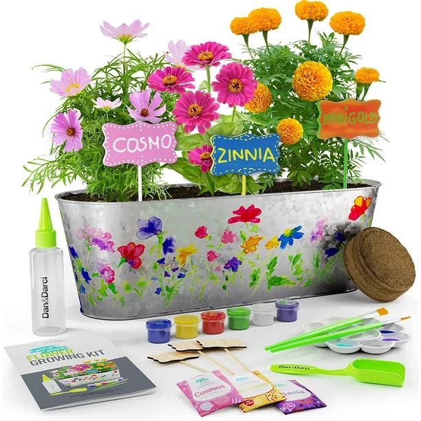 Dan&Darci Paint & Plant Flower Growing Kit - Grow Cosmos, Zinnia, Marigold Flowers : Includes Eve... | Walmart (US)