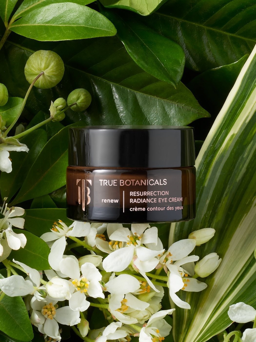 Renew Resurrection Radiance Eye Cream | True Botanicals