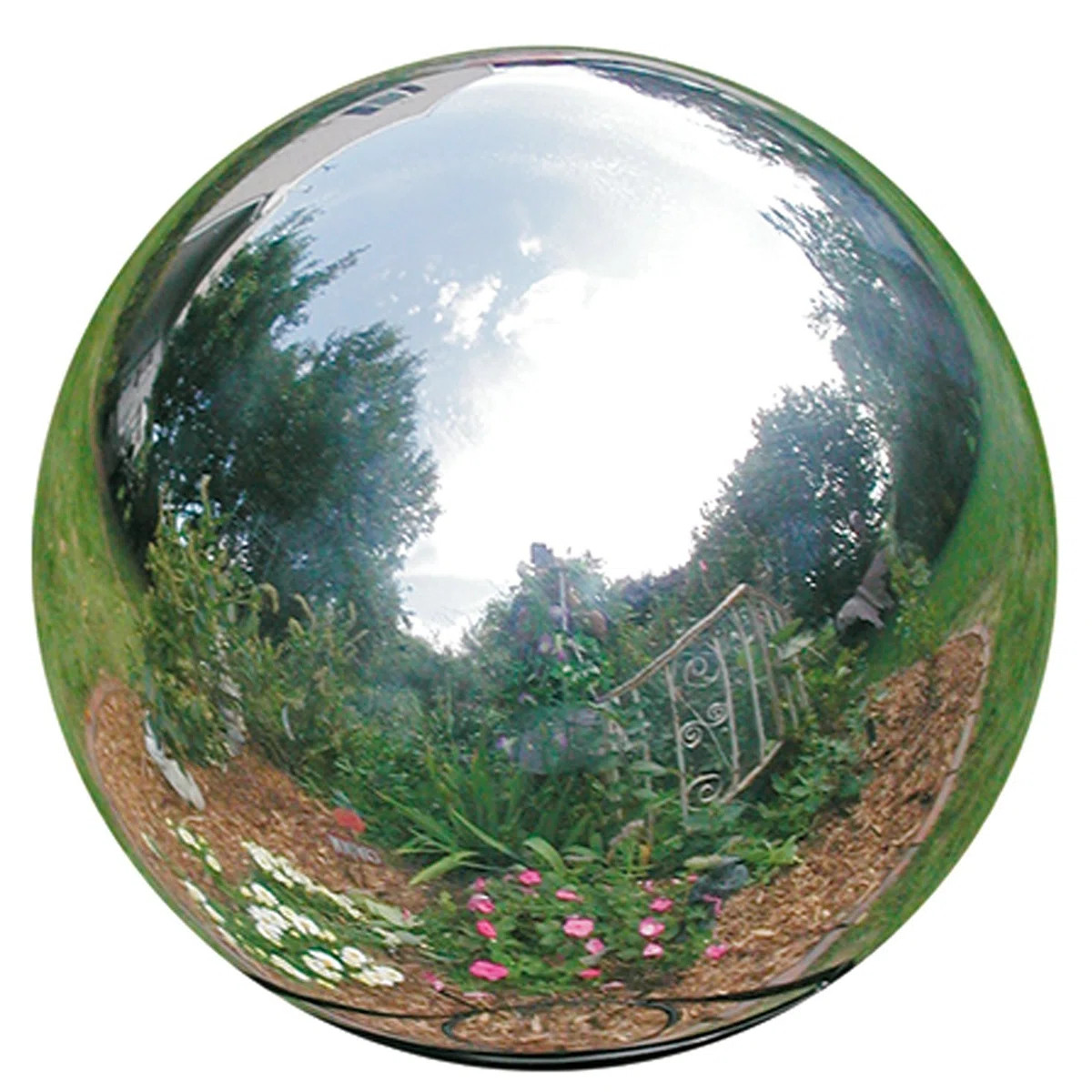 Carstarphen Weather Resistant Landscape & Nature Gazing Ball | Wayfair North America