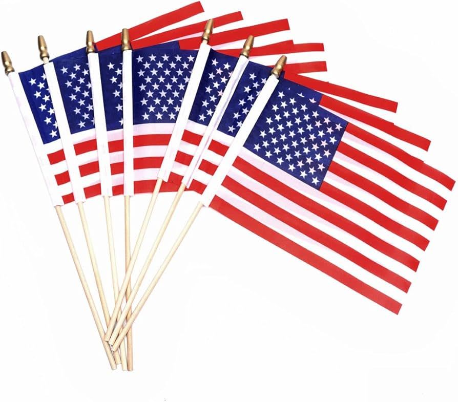 25 Pack Small American Flags on Stick 5x8 Inch/Mini American USA Flags/US Handheld Stick Flags Sp... | Amazon (US)
