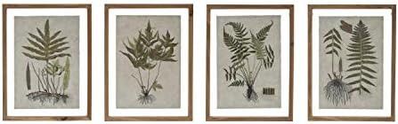 Amazon.com: Creative Co-Op Botanical Print on Textured Material Wood Frame (Set of 4 Styles) Wall... | Amazon (US)