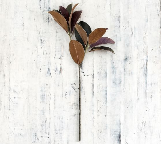 Faux Budding Magnolia Branch | Pottery Barn (US)