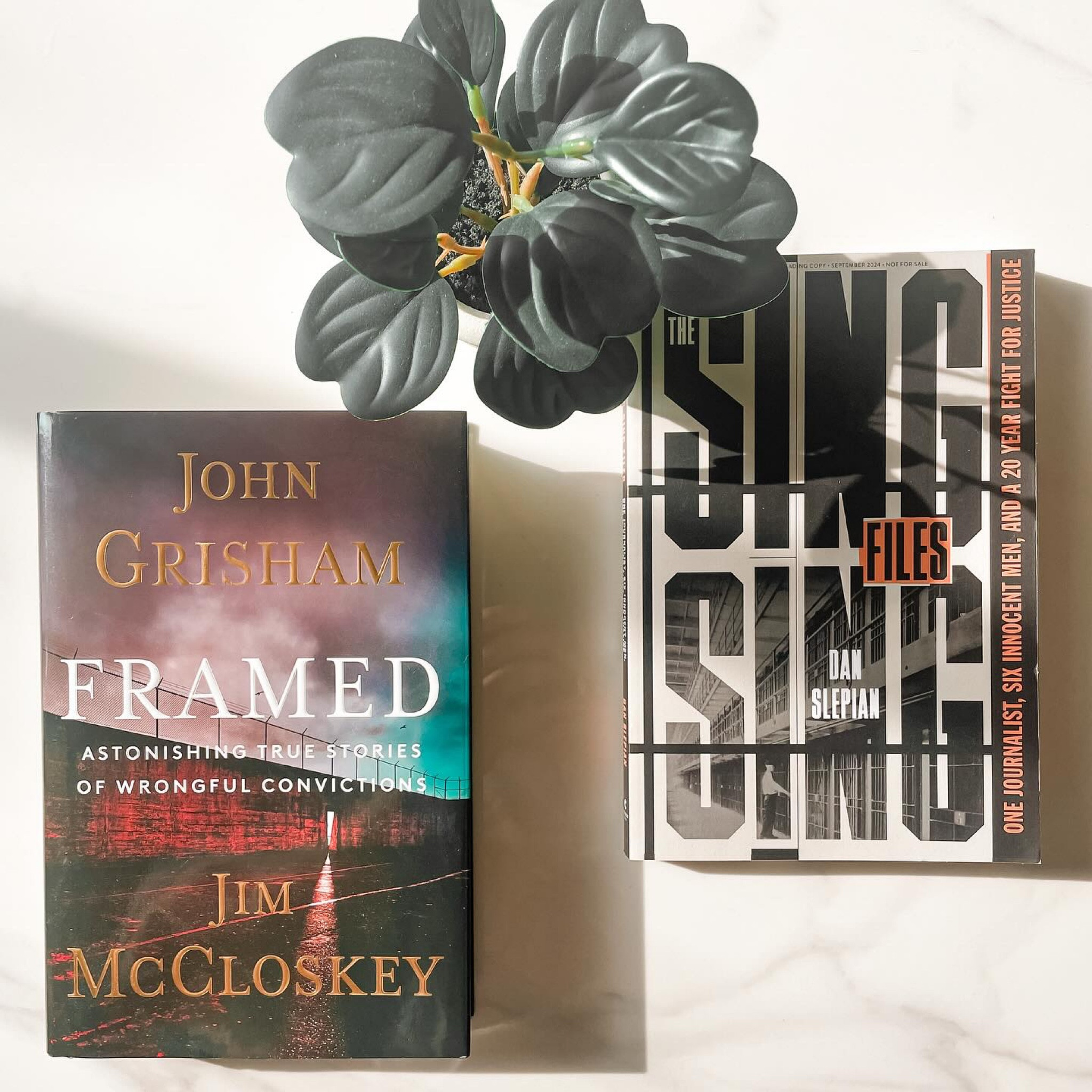 TOP NON-FICTION OF 2024

I’m not currently reading any non-fiction this week, so it’s safe to share my top non-fiction reads of 2024! This year, I couldn’t choose one. It will surprise absolutely no one, but both of my favorite non-fiction reads in 2024 focused on wrongful conviction. 

Without further ado, my top two are:

📚 FRAMED by John Grisham and Jim McCloskey
📚 THE SING SING FILES by Dan Slepian

I cannot recommend these books enough - they will make you angry and sad, but you’ll learn a lot. 

Thank you to the tagged publishers for the #gifted copies.

#nonfiction #nonfictionbooks #nonfictionbookparty #johngrisham #topreads #topreads2024 #favoritebookz #bookreviewer #bookrecs #bookish #bibliophile #readingisfun #wrongfulconviction #theinnocenceproject #danslepian #thesingsingfiles 

What was your favorite non-fiction read of 2024?