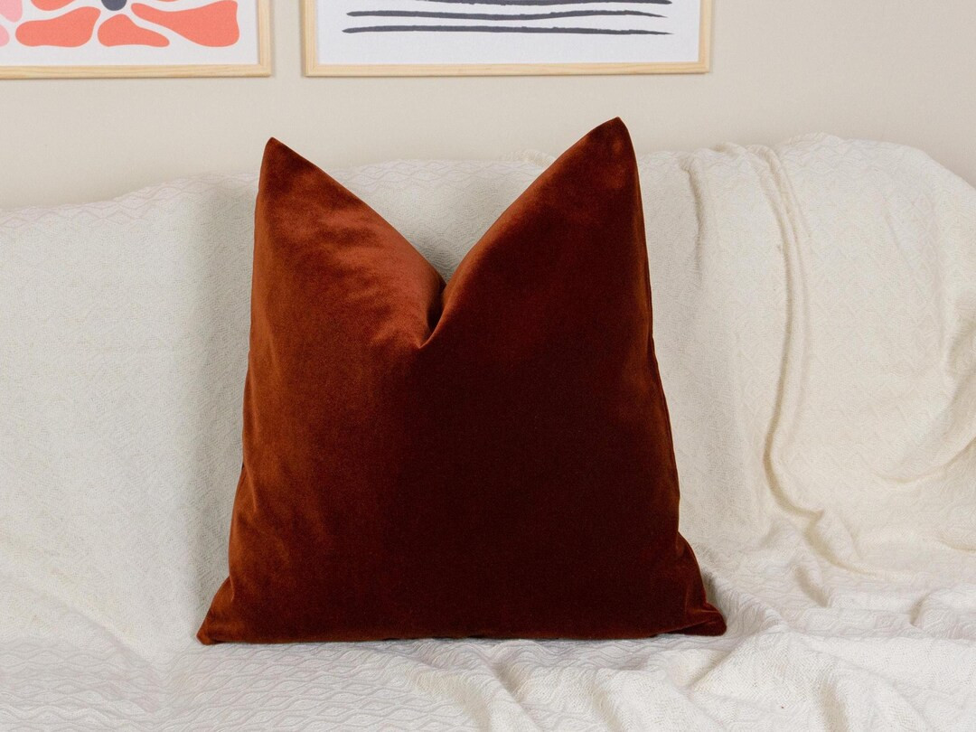 Premium Velvet Terracotta Throw Pillow Cover Rust Cushion Cover Velvet Lumbar Pillow Cover (all S... | Etsy (US)