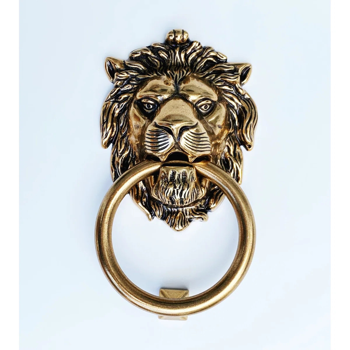 Forge Hardware Studio Lion Head Door Knocker in Antique Brass & Reviews | Wayfair | Wayfair North America