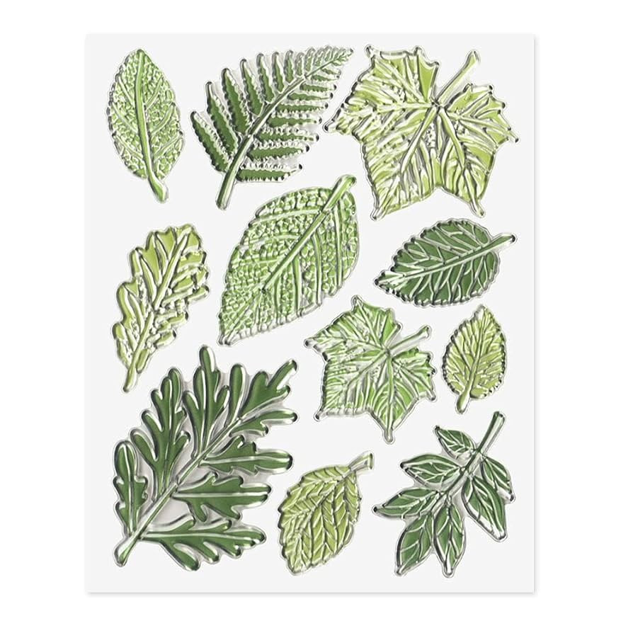Multiple Green Leaves Clear Stamp for Card Making Maple Leaf Rubber Stamp Spring Fall Transparent... | Amazon (US)