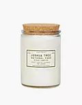 Parks Project Joshua Tree Desert Campfire Candle | Madewell