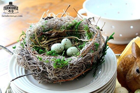 Bird Nest - "Spring" Natural Farm Bird Nest | Etsy (US)