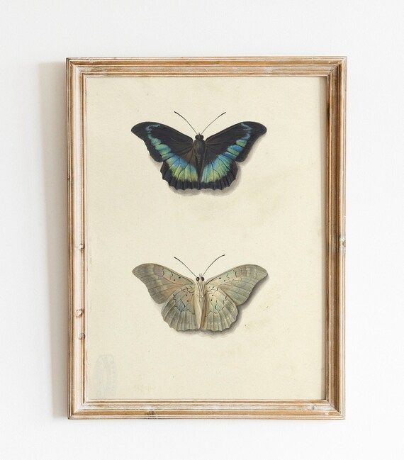 Butterfly Wall Art Kids Room Decor Digital Download | Etsy | Etsy (US)