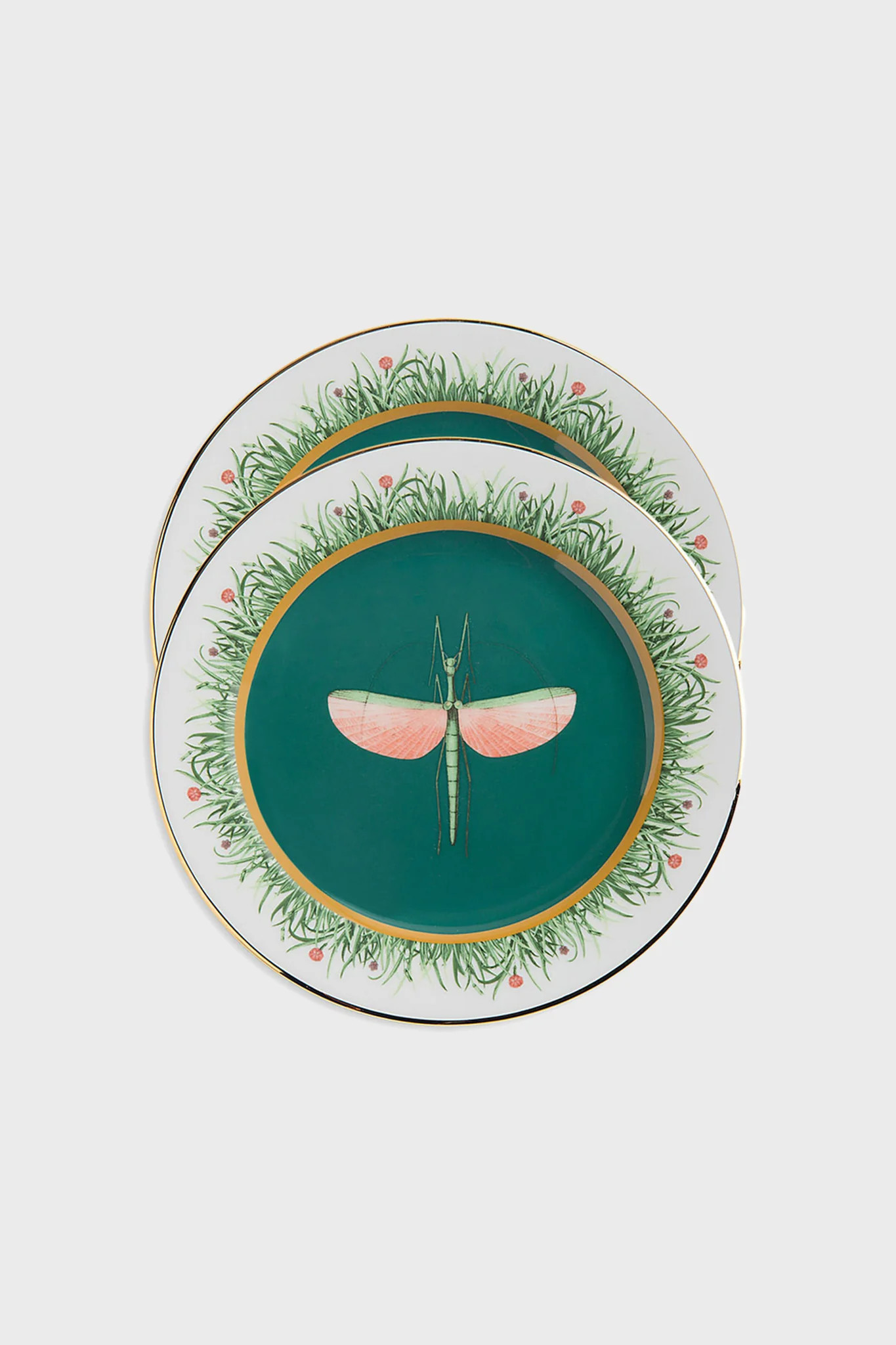 Libellula Dinner Plates (Set of 2) | Tuckernuck (US)