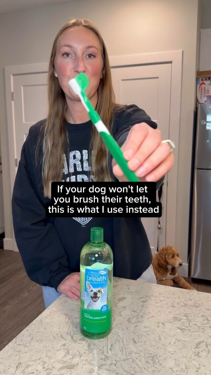 As a dental hygienist, I use TropiClean Fresh Breath Water Additive for my dog to help prevent plaque & tartar and support fresher breath 

Results may vary. This is my experience with my dog.

#LTKmomlife #LTKstorytime #LTKmorningroutine
