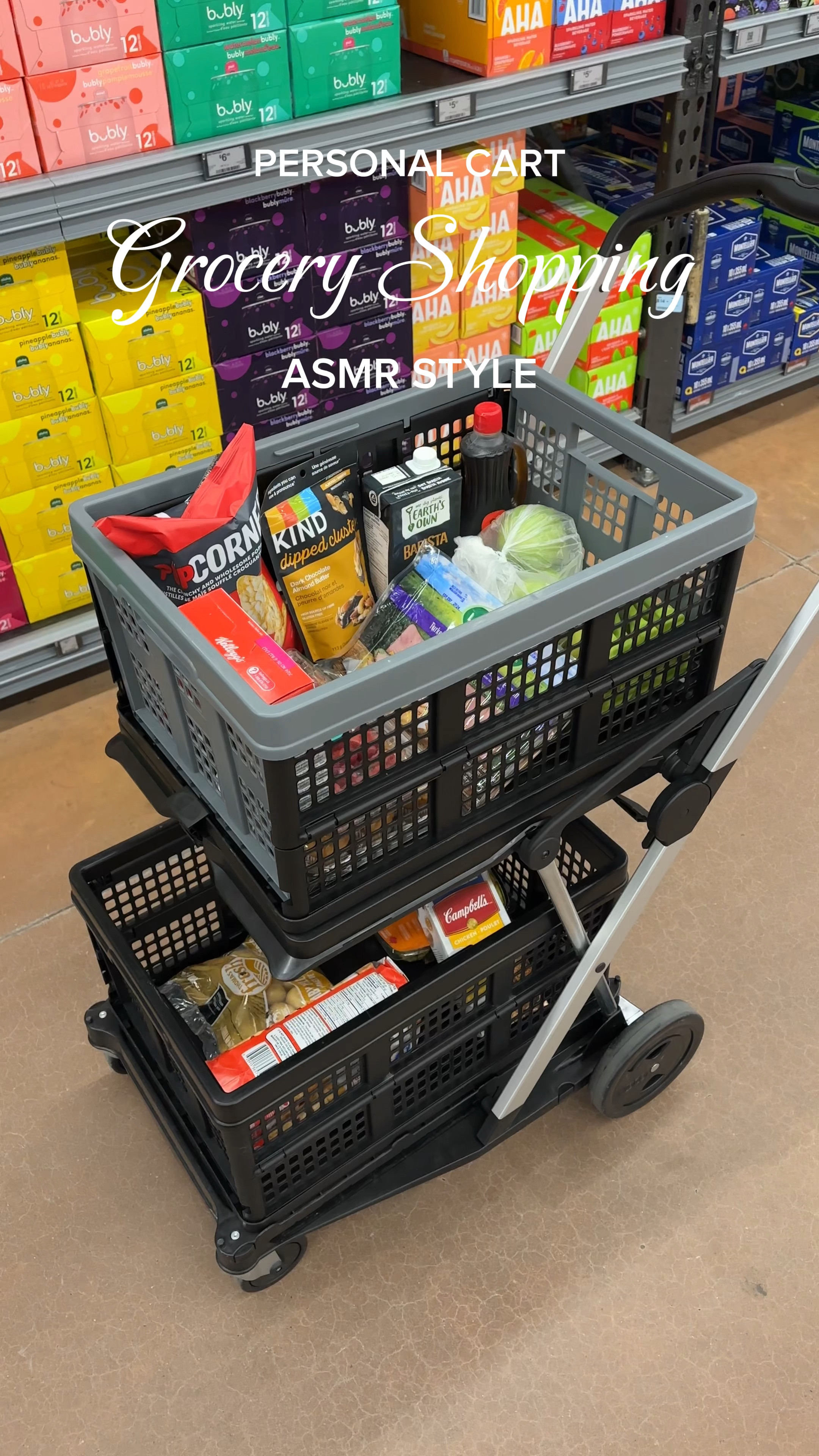 Grocery restock with the handiest personal shopping cart 🍎🛒 #asmrrestock #groceryshopping #groceryshopwithme #asmrgroceryshopping #shoppingasmr #groceryhaul #groceryrestock #groceryasmr #amazonfinds #amazonmusthaves #amazonlifehacks

#LTKHome #LTKFamily #LTKVideo
