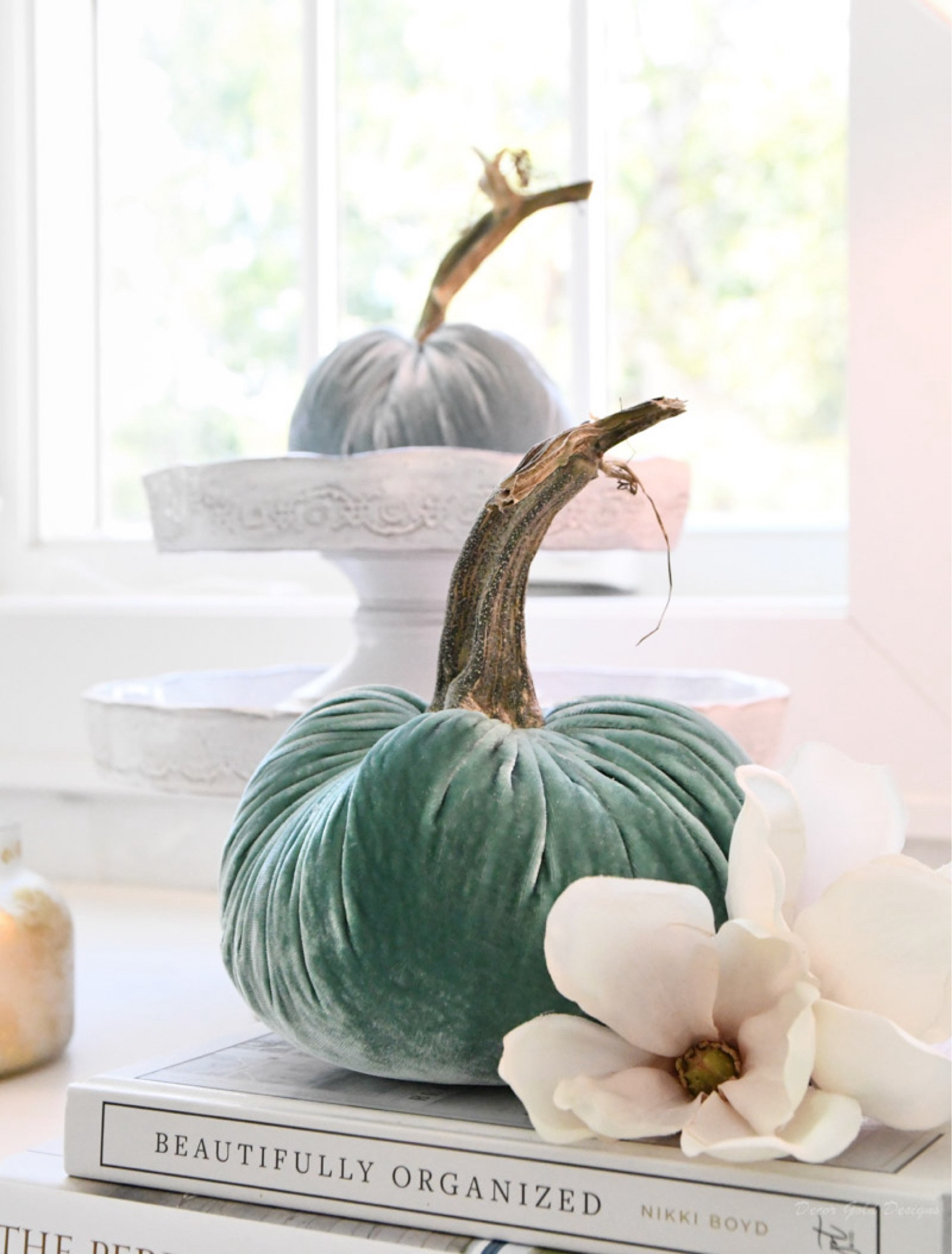 Velvet pumpkin styling ideas

#LTKhome