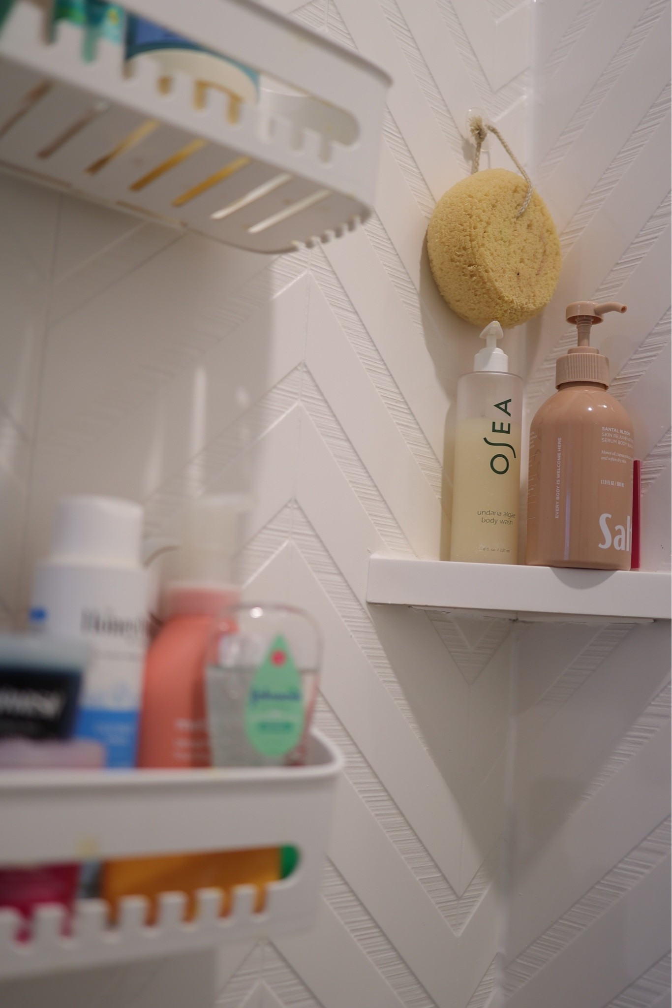 Part of my shower essentials: @OSEA Malibu body wash + @saltair serum-infused body wash.

Because at this age, we’re not just taking a shower—we’re maintaining the glow! 

#ShowerEssentials #ShowerRoutine #OSEA #xoJalonda #Saltair #OSEABodyWash #SaltairBodyWash #SerumInfusedBodyWash #BodyCare #BodyWash #SelfCareRoutine #MidlifeBeauty #BeautyOver50 #Over50Beauty #LTKBeauty #LTKFinds