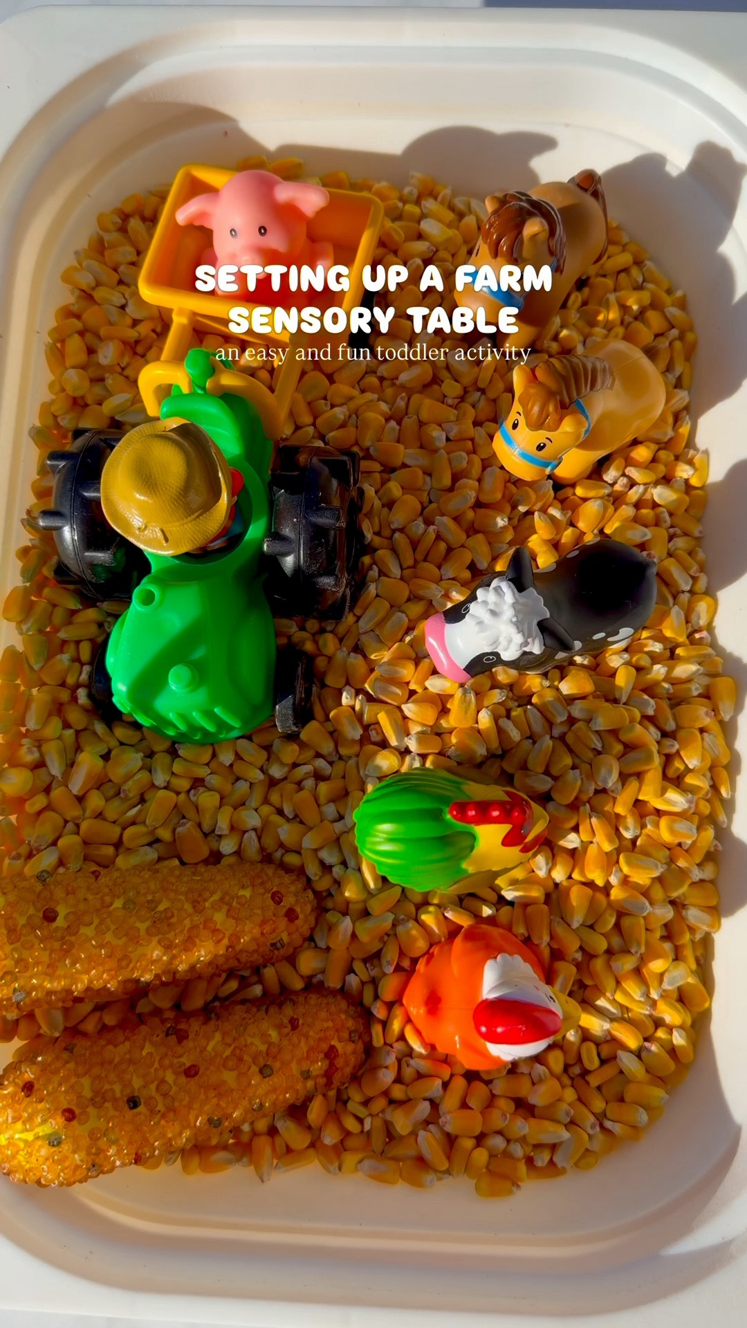 Toddler farm sensory table 

A fun and easy setup for animal and farm loving toddlers 



#LTKBaby #LTKKids