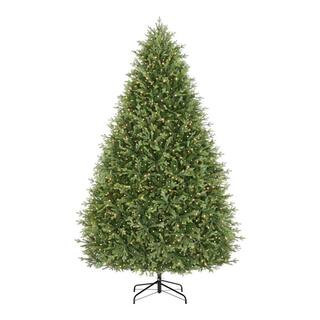 Home Decorators Collection 9 ft Eastcastle Balsam Fir LED Christmas Tree 21HD10013 - The Home Dep... | The Home Depot
