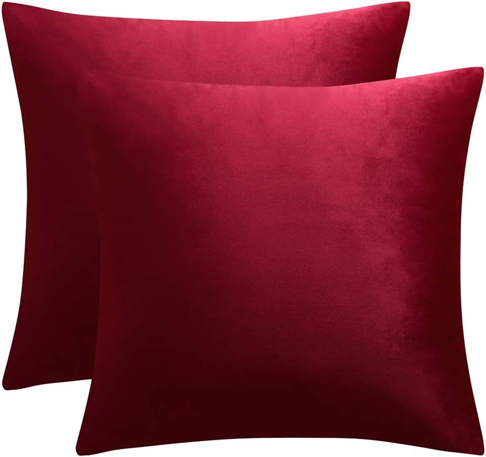 JUSPURBET Burgundy Decorative Velvet Throw Pillow Covers 20x20 Inches Set of 2,Luxury Solid Soft ... | Amazon (US)