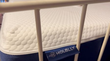 Mattress molblly 8 inch gel memory foam mattress with certipur us bed mattress in a box sleep cooler and pressure relief 

#mattress #amazon #founditonamazon #memoryfoam #gelmattress

#LTKfamily #LTKFind #LTKhome