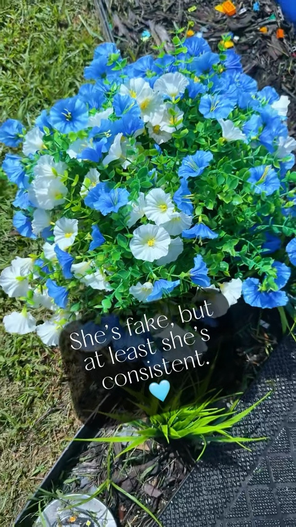 #FakeButFlawless #ConsistentlyCute #FauxFlowerPower #GardenHumor #OutdoorGlowUp #SolarStyle #FrontYardFunny #LawnDecorGoals #FakeItTilYouMakeIt #BackyardMood #LowMaintenanceLife #PetuniaParody #PlantTok #HomeHumor #DIYDecor #HanahStyle

#LTKHome #LTKFindsUnder50 #LTKSeasonal