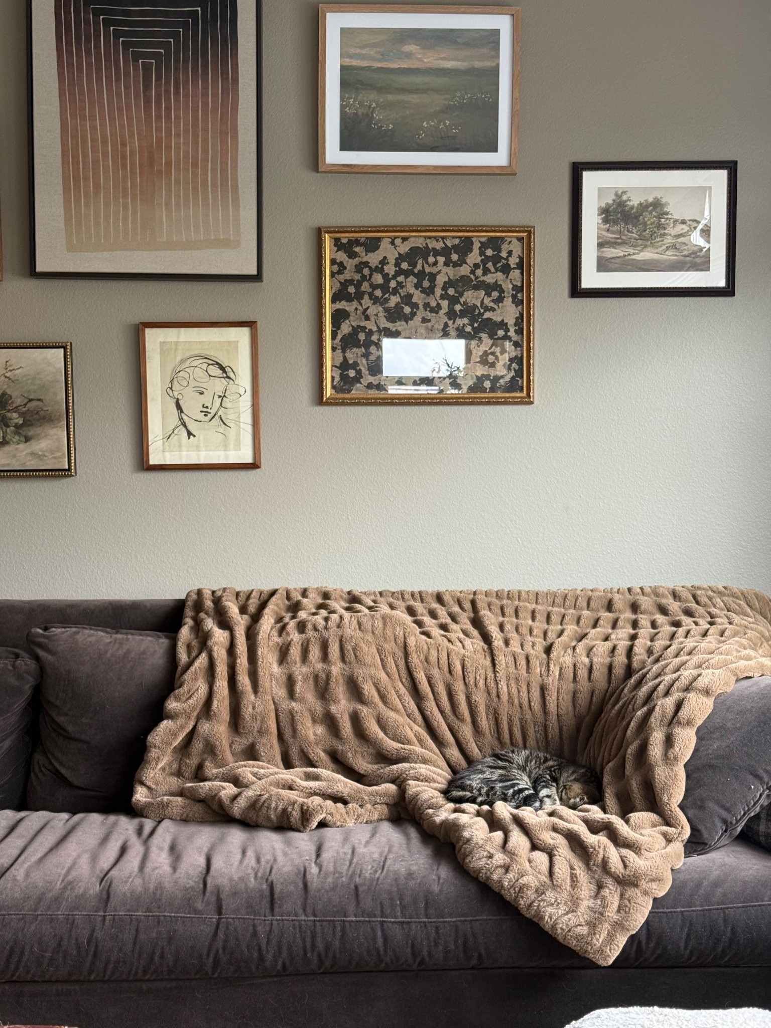 The comfiest Lola blanket! Chief is already curled up on it taking his afternoon nap☺️

#LTKHome #LTKGiftGuide #LTKHoliday