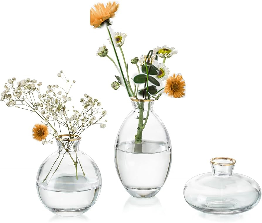 Small Vases for Centerpieces Glass Esmiome - Clear with Gold Rim 3pcs/Set Bud Vases, Short Minima... | Amazon (US)