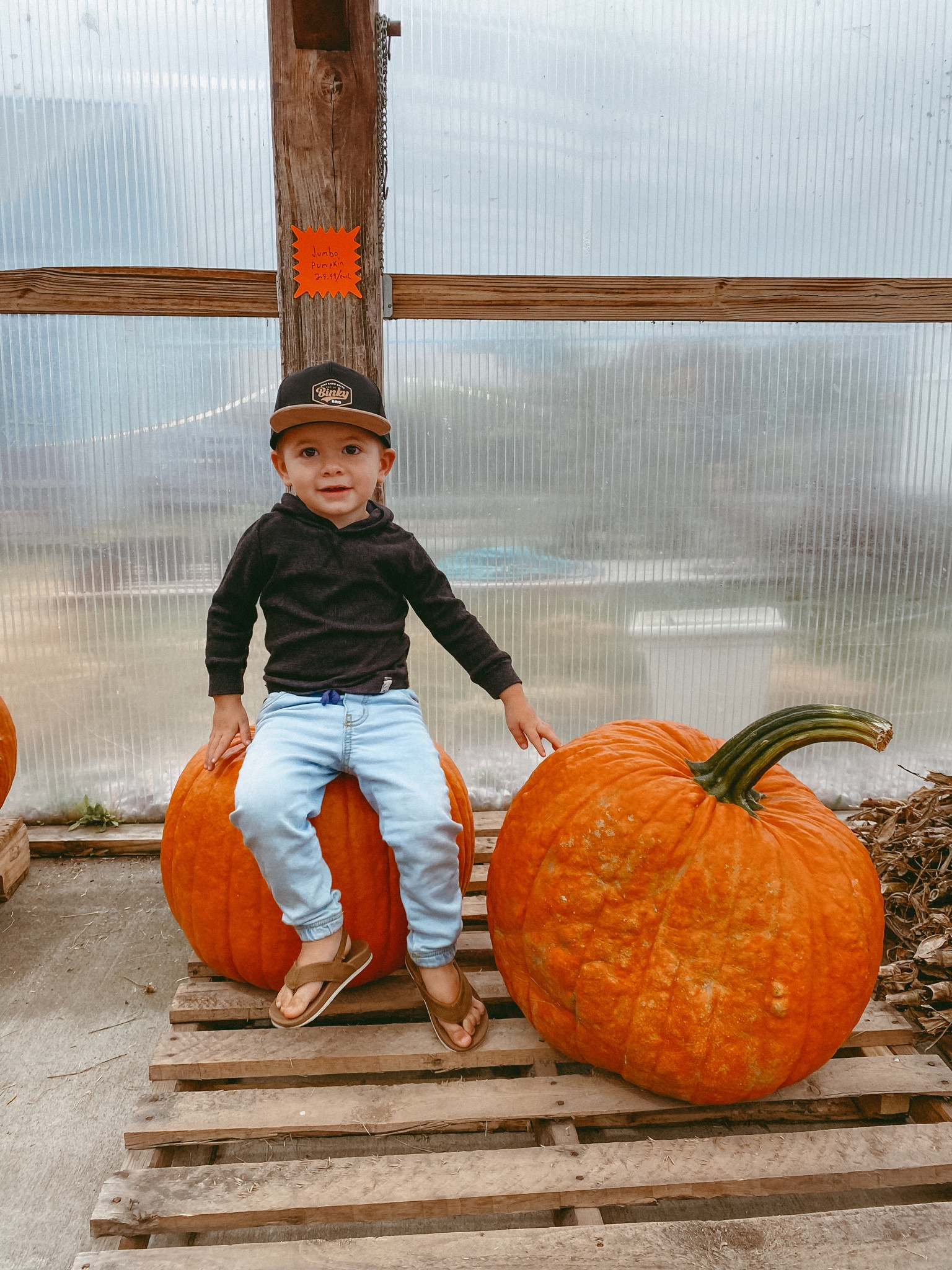 Falling for you 🍁😍🥹

Hat is Binky Bro 😎 

#LTKGiftGuide #LTKHoliday #LTKSeasonal