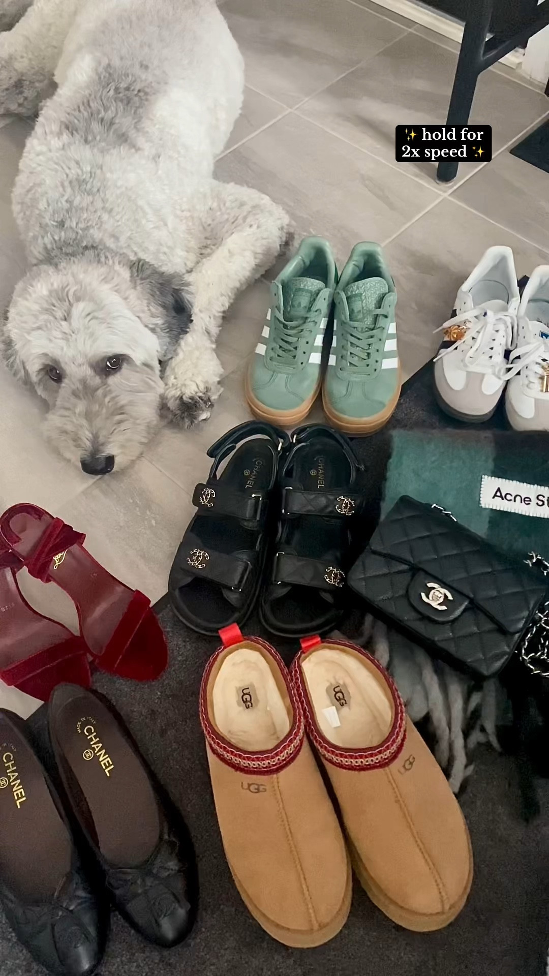 As seen on TikTok — some of my favourite items from #DHgate that have held up really well over the past few months and years!

#LTKItBag #LTKShoeCrush #LTKFindsUnder100
