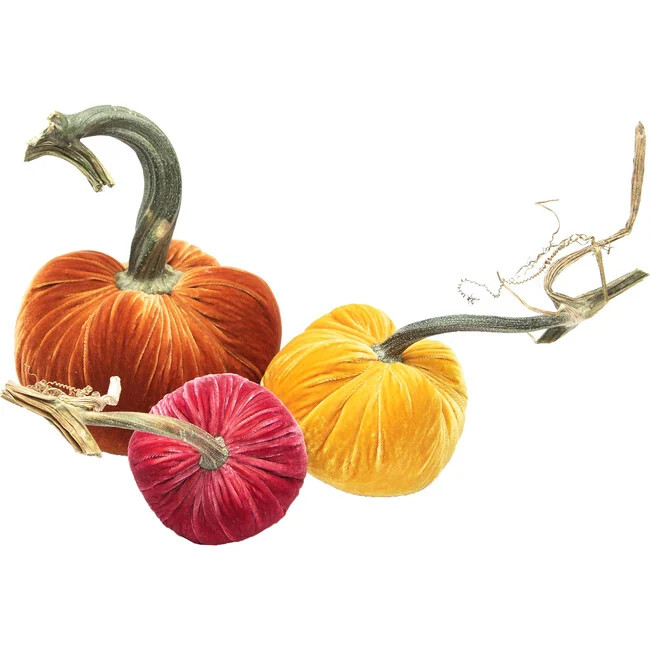 Hot Skwash | Exclusive Pumpkin Trio, Sunrise, | Silk (Size Small) | Maisonette | Maisonette