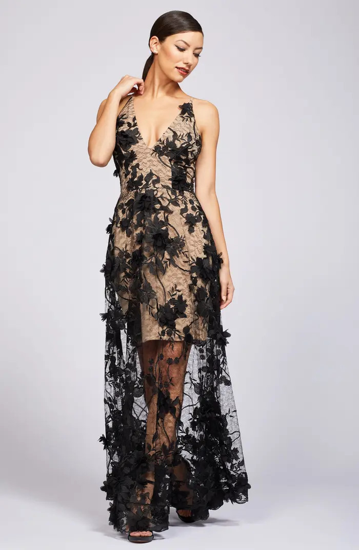 Sidney Deep V-Neck 3D Lace Gown | Nordstrom