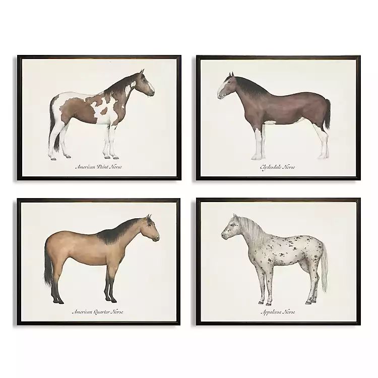Horses Framed Art Prints, Set of 4 | Kirkland's Home