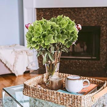 DILATATA Faux Hydrangea Large Artificial Green Hydrangea Flowers 26" Real Touch Hydrangea Flowers... | Amazon (US)