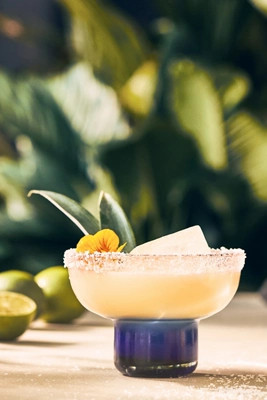 Roxanna Coupe Glasses, Set of 4 | Anthropologie (US)