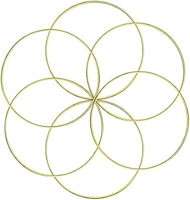 Aboat Set of 6 Dream Catcher Metal Rings, Macrame Ring for Dream Catcher and Crafts, Gold, 6 Inch | Amazon (US)