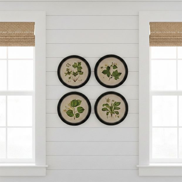 Vintage Reproduction Round Botanical Print Set of 4 | Antique Farm House