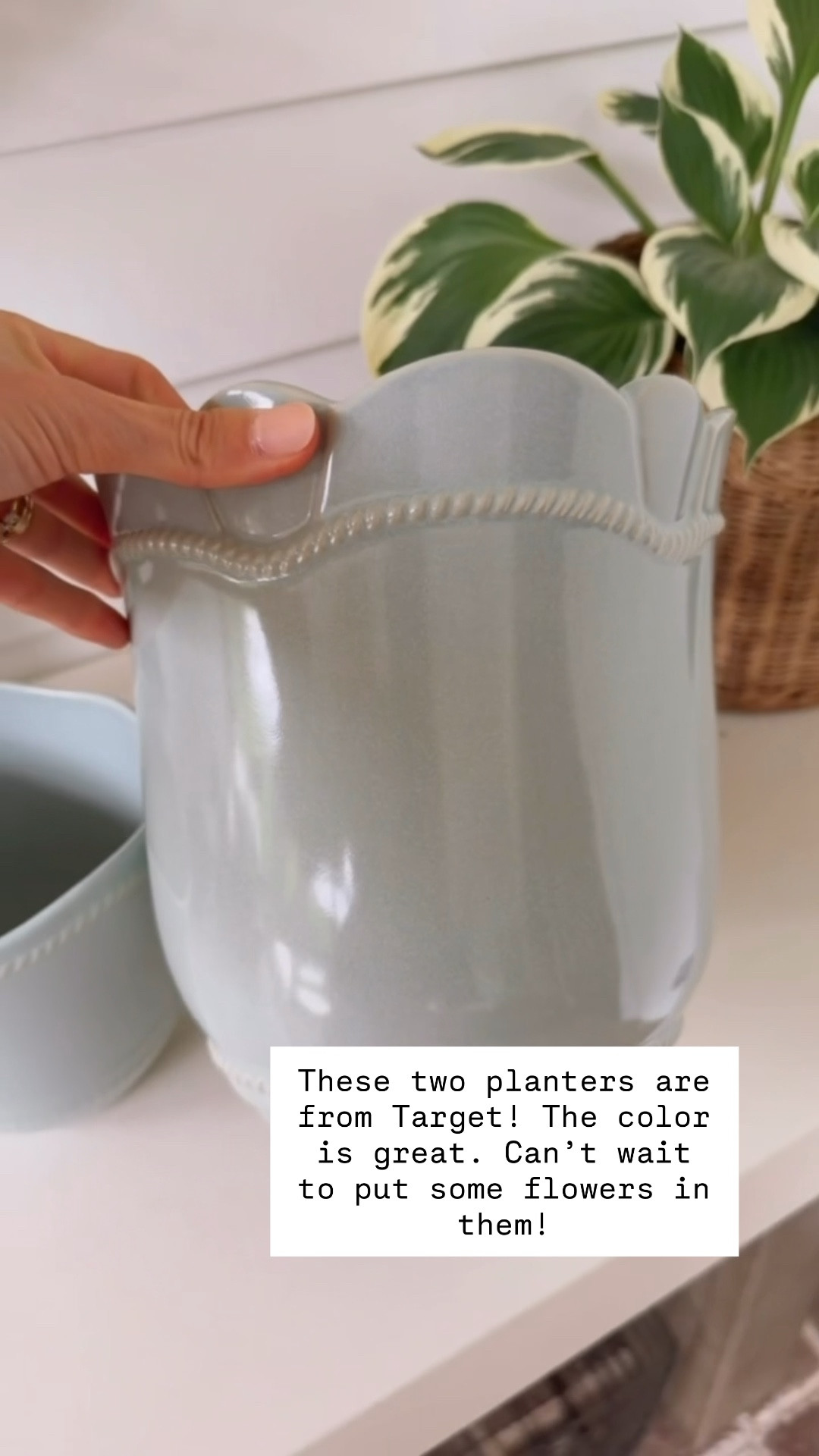 How pretty are these planters?! Love the color!

Loverly Grey, Target, planter, plant pots, outdoor decor

#LTKHome