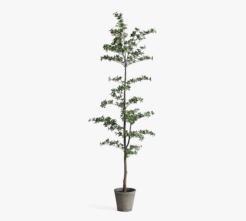 Faux Black Olive Tree | Pottery Barn (US)