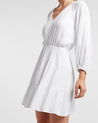Embroidered Balloon Sleeve Fit And Flare Dress | Express