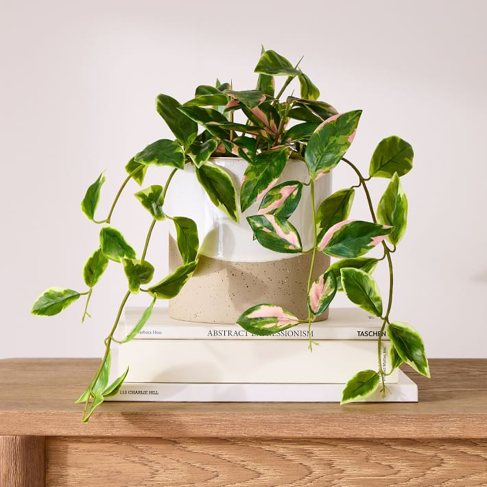 Faux Potted Spiderwort Plant | West Elm (US)