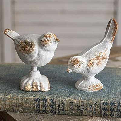 CTW Home Collection Set of Two Cast Iron Birds | Amazon (US)