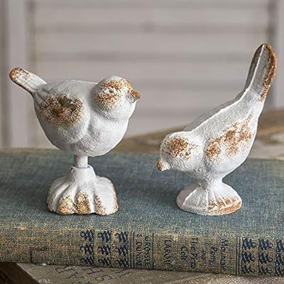 CTW Home Collection Set of Two Cast Iron Birds | Amazon (US)