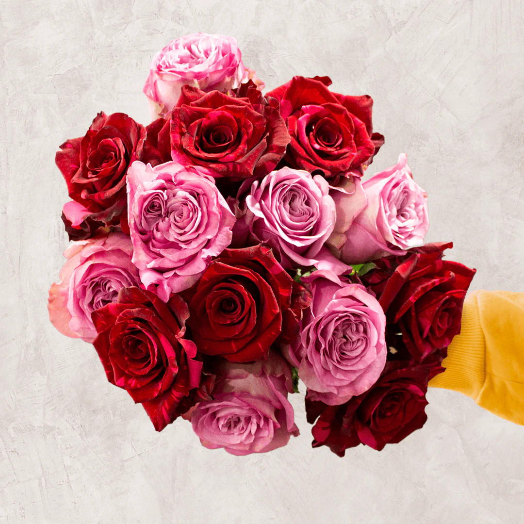 Pink and Red Roses Bouquet | Red Panther Roses – Rosaholics | Rosaholics