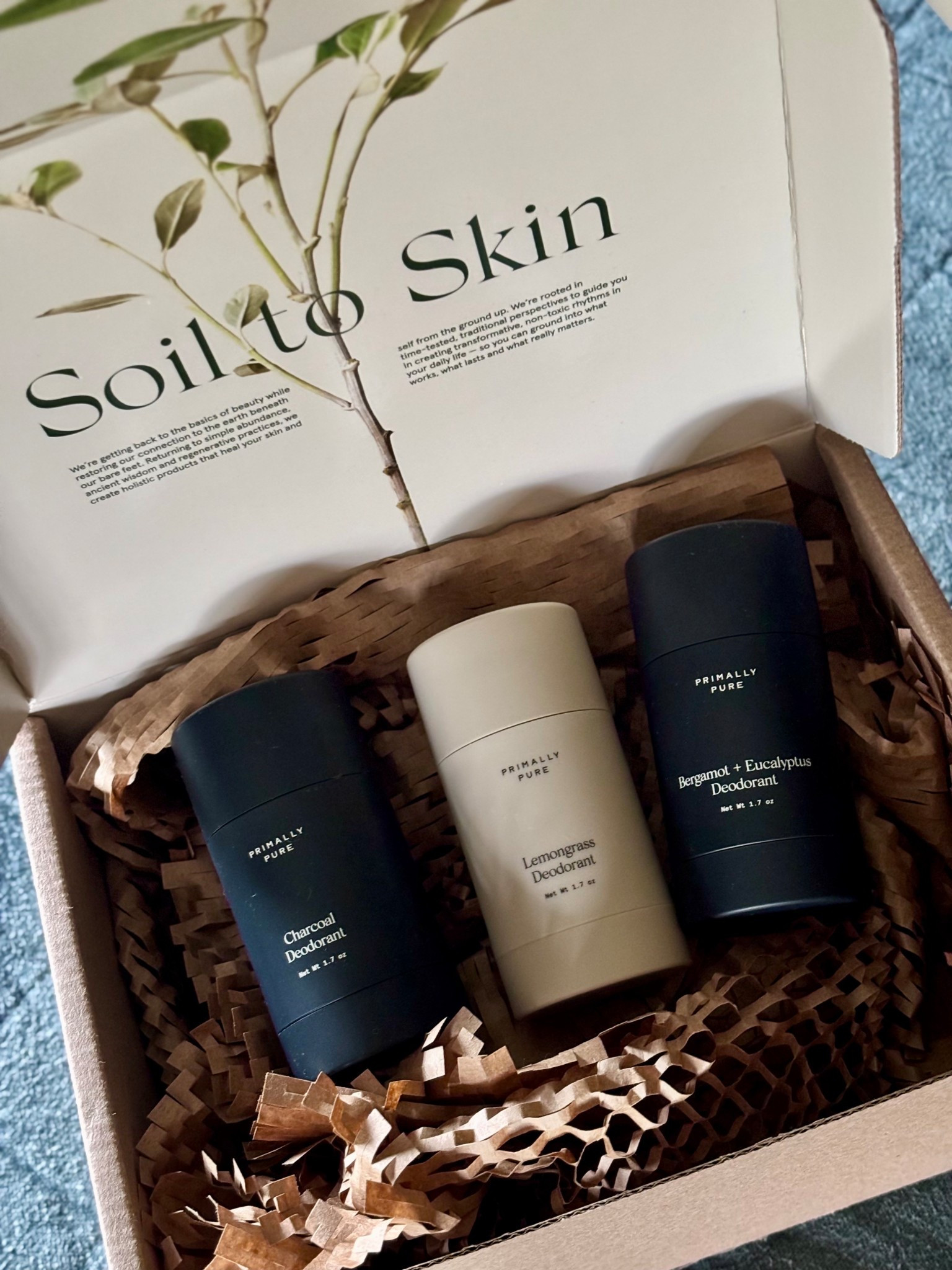 Deodorant Restock! I have not been this smitten with a product in a long time! All natural, non irritating and for me to buy these repeatedly at $14 each… you know they work!

#LTKBeauty #LTKFindsUnder50