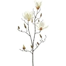 Ashland White Magnolia Branch Stem | Amazon (US)