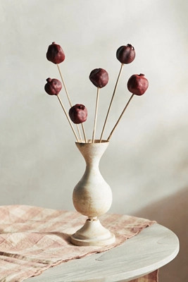 Preserved Pomegranate Bunch | Terrain